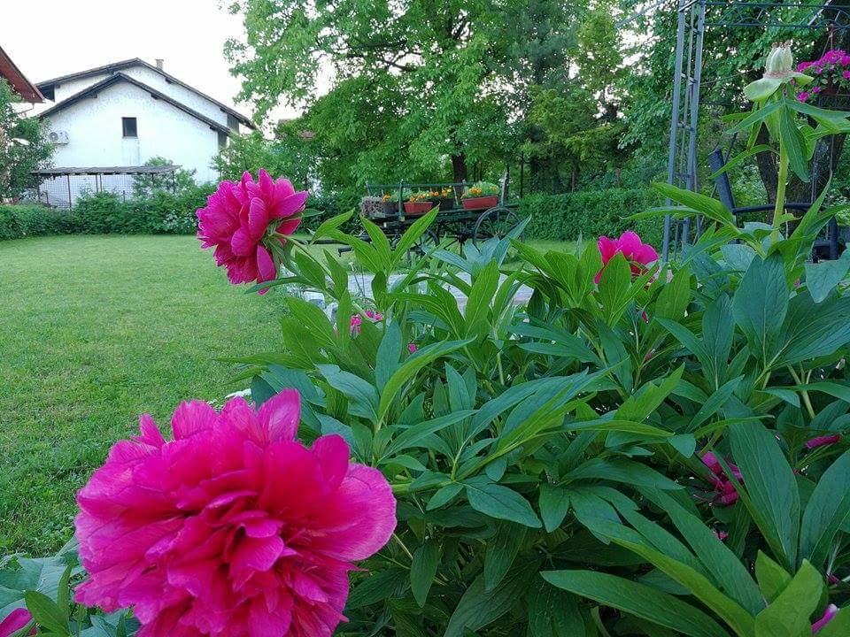 B&B Villa Una Bihać Εξωτερικό φωτογραφία
